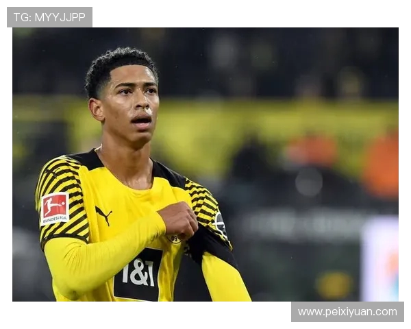 毕包再因球迷口号被罚 累计金额已达 11 万欧元